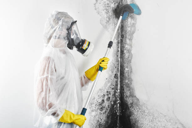 Best Mold-Related Health Consultation  in Sparks, GA