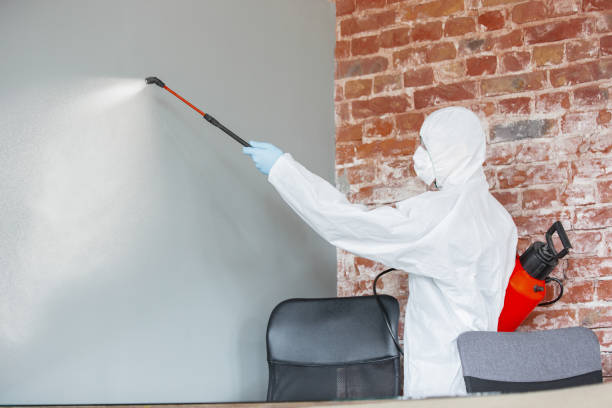 Best Dehumidification Services  in Sparks, GA
