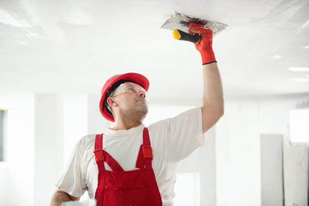 Mold Odor Removal Services in Sparks, GA