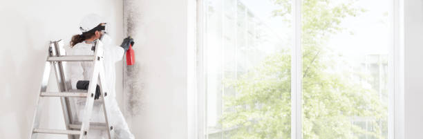 Best Post-Construction Mold Inspection  in Sparks, GA