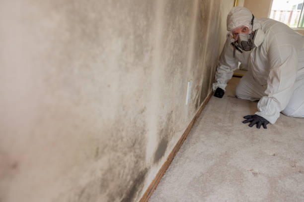 Best Mold-Related Health Consultation  in Sparks, GA
