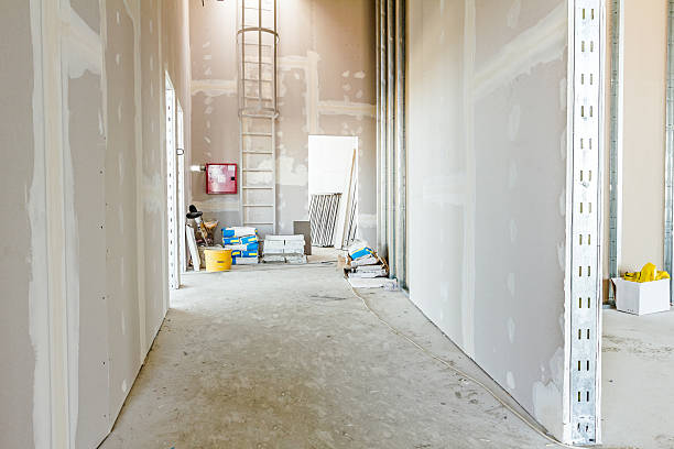 Best Mold Documentation for Insurance Claims  in Sparks, GA