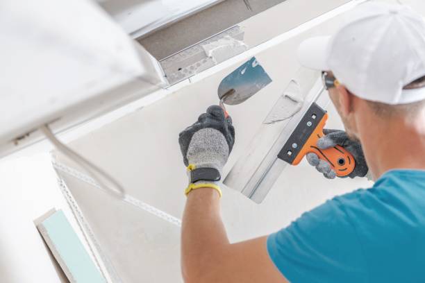 Best Mold Remediation for Healthcare Facilities  in Sparks, GA
